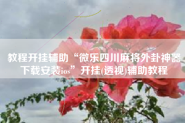 教程开挂辅助“微乐四川麻将外卦神器下载安装ios”开挂(透视)辅助教程