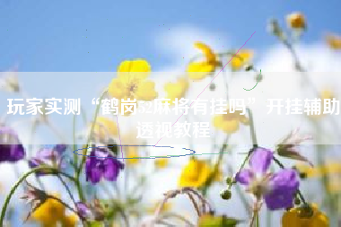 玩家实测“鹤岗52麻将有挂吗”开挂辅助透视教程