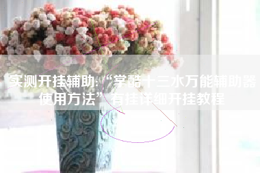 实测开挂辅助:“掌酷十三水万能辅助器使用方法”有挂详细开挂教程