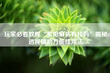玩家必看教程“紫阳麻将有挂吗”揭秘透视辅助万能挂用法