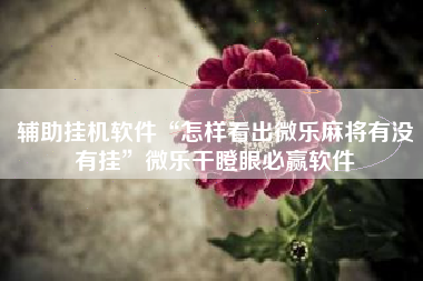 辅助挂机软件“怎样看出微乐麻将有没有挂”微乐干瞪眼必赢软件