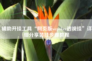 辅助开挂工具“网页版wepoker透视挂”详细分享装挂步骤教程