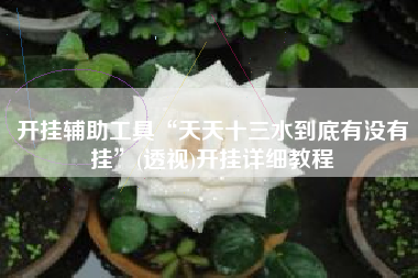 开挂辅助工具“天天十三水到底有没有挂”(透视)开挂详细教程