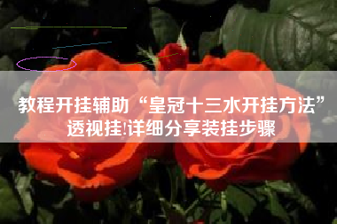 教程开挂辅助“皇冠十三水开挂方法”透视挂!详细分享装挂步骤