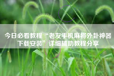 今日必看教程“老友手机麻将外卦神器下载安装”详细辅助教程分享