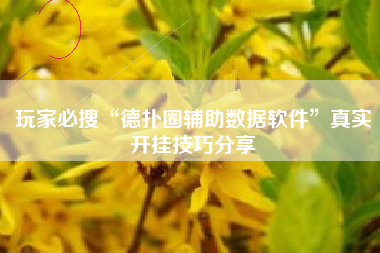 玩家必搜“德扑圈辅助数据软件”真实开挂技巧分享