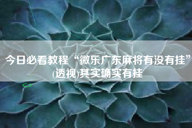 今日必看教程“微乐广东麻将有没有挂”(透视)其实确实有挂 今日必看教程“微乐广东麻将有没有挂”(透视)其实确实有挂