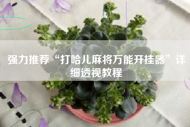 强力推荐“打哈儿麻将万能开挂器”详细透视教程