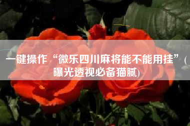 一键操作“微乐四川麻将能不能用挂”(曝光透视必备猫腻)