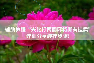 辅助教程“兴化打两圈麻将哪有挂卖”详细分享装挂步骤! 辅助教程“兴化打两圈麻将哪有挂卖”详细分享装挂步骤!