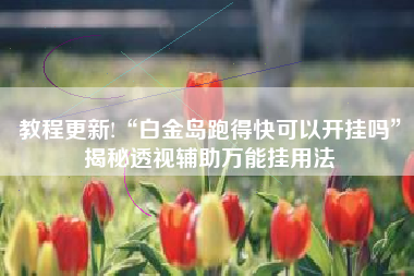 教程更新!“白金岛跑得快可以开挂吗”揭秘透视辅助万能挂用法 教程更新!“白金岛跑得快可以开挂吗”揭秘透视辅助万能挂用法