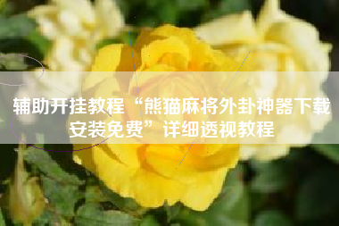 辅助开挂教程“熊猫麻将外卦神器下载安装免费”详细透视教程