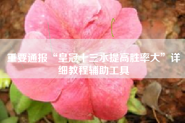 重要通报“皇冠十三水提高胜率大”详细教程辅助工具 重要通报“皇冠十三水提高胜率大”详细教程辅助工具