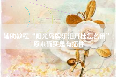 辅助教程“阳光岛牌乐汇开挂怎么用”(原来确实是有插件