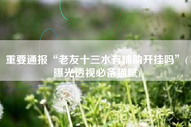 重要通报“老友十三水有辅助开挂吗”(曝光透视必备猫腻)