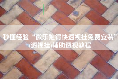 秒懂经验“微乐跑得快透视挂免费安装”(透视挂)辅助透视教程 秒懂经验“微乐跑得快透视挂免费安装”(透视挂)辅助透视教程