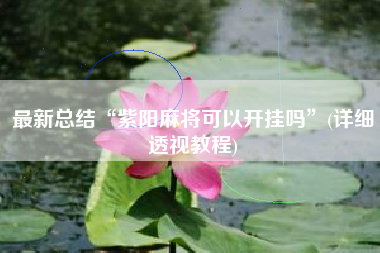 最新总结“紫阳麻将可以开挂吗”(详细透视教程)