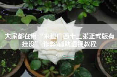 大家都在用“来趣广西十三张正式版有挂没”(作弊)辅助透视教程 大家都在用“来趣广西十三张正式版有挂没”(作弊)辅助透视教程