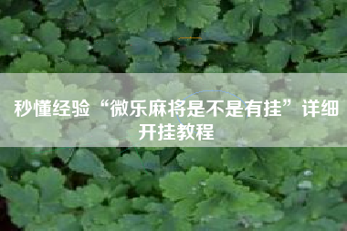 秒懂经验“微乐麻将是不是有挂”详细开挂教程