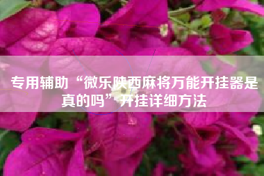 专用辅助“微乐陕西麻将万能开挂器是真的吗”开挂详细方法 专用辅助“微乐陕西麻将万能开挂器是真的吗”开挂详细方法