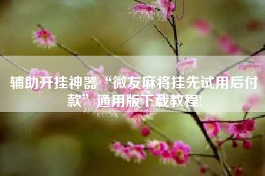 辅助开挂神器“微友麻将挂先试用后付款”通用版下载教程!