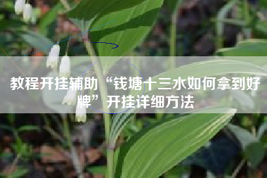 教程开挂辅助“钱塘十三水如何拿到好牌”开挂详细方法 教程开挂辅助“钱塘十三水如何拿到好牌”开挂详细方法