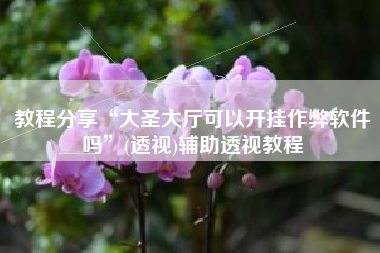 教程分享“大圣大厅可以开挂作弊软件吗”(透视)辅助透视教程