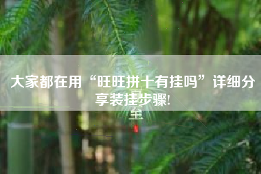 大家都在用“旺旺拼十有挂吗”详细分享装挂步骤! 大家都在用“旺旺拼十有挂吗”详细分享装挂步骤!