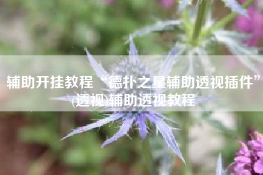 辅助开挂教程“德扑之星辅助透视插件”(透视)辅助透视教程