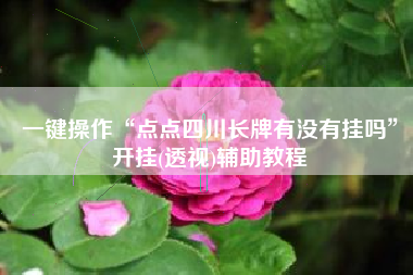 一键操作“点点四川长牌有没有挂吗”开挂(透视)辅助教程 一键操作“点点四川长牌有没有挂吗”开挂(透视)辅助教程