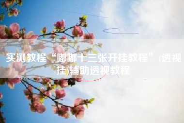 实测教程“嘟嘟十三张开挂教程”(透视挂)辅助透视教程 实测教程“嘟嘟十三张开挂教程”(透视挂)辅助透视教程