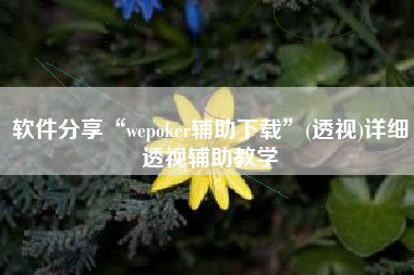 软件分享“wepoker辅助下载”(透视)详细透视辅助教学
