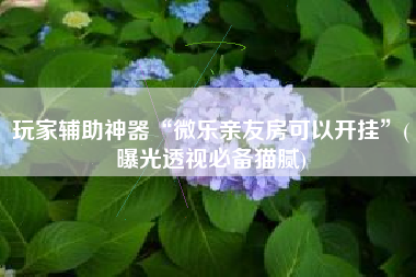 玩家辅助神器“微乐亲友房可以开挂”(曝光透视必备猫腻)