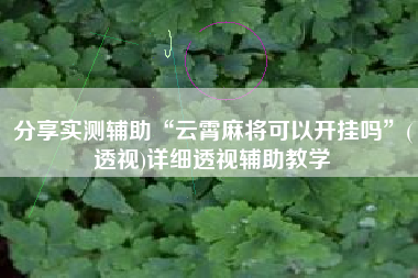 分享实测辅助“云霄麻将可以开挂吗”(透视)详细透视辅助教学 分享实测辅助“云霄麻将可以开挂吗”(透视)详细透视辅助教学