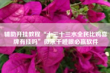 辅助开挂教程“十三十三水全民比鸡喜牌有挂吗”微乐干瞪眼必赢软件 辅助开挂教程“十三十三水全民比鸡喜牌有挂吗”微乐干瞪眼必赢软件