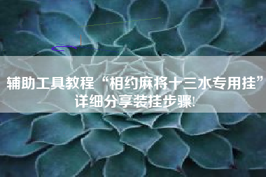 辅助工具教程“相约麻将十三水专用挂”详细分享装挂步骤! 辅助工具教程“相约麻将十三水专用挂”详细分享装挂步骤!