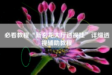 必看教程“新玄龙大厅透视挂”详细透视辅助教程 必看教程“新玄龙大厅透视挂”详细透视辅助教程