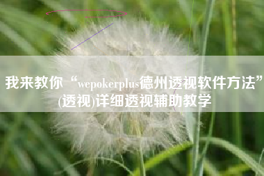 我来教你“wepokerplus德州透视软件方法”(透视)详细透视辅助教学
