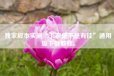 独家脚本实测“卡农是不是有挂”通用版下载教程!