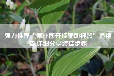 强力推荐“德扑圈开挂辅助神器”透视挂!详细分享装挂步骤 强力推荐“德扑圈开挂辅助神器”透视挂!详细分享装挂步骤