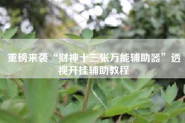 重磅来袭“财神十三张万能辅助器”透视开挂辅助教程