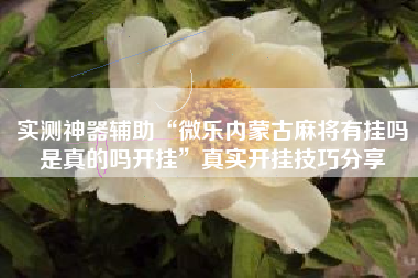 实测神器辅助“微乐内蒙古麻将有挂吗是真的吗开挂”真实开挂技巧分享