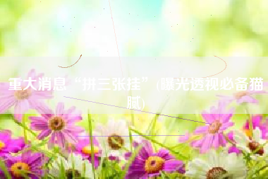 重大消息“拼三张挂”(曝光透视必备猫腻) 重大消息“拼三张挂”(曝光透视必备猫腻)