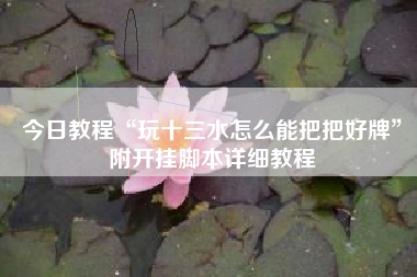 今日教程“玩十三水怎么能把把好牌”附开挂脚本详细教程 今日教程“玩十三水怎么能把把好牌”附开挂脚本详细教程