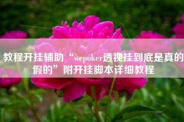 教程开挂辅助“wepoker透视挂到底是真的假的”附开挂脚本详细教程 教程开挂辅助“wepoker透视挂到底是真的假的”附开挂脚本详细教程