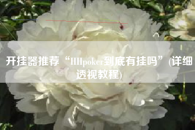 开挂器推荐“HHpoker到底有挂吗”(详细透视教程)