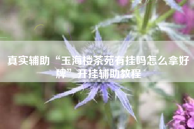 真实辅助“玉海楼茶苑有挂吗怎么拿好牌”开挂辅助教程 真实辅助“玉海楼茶苑有挂吗怎么拿好牌”开挂辅助教程