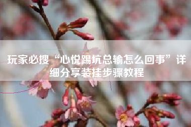 玩家必搜“心悦踢坑总输怎么回事”详细分享装挂步骤教程