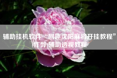 辅助挂机软件“网趣沈阳麻将开挂教程”(作弊)辅助透视教程