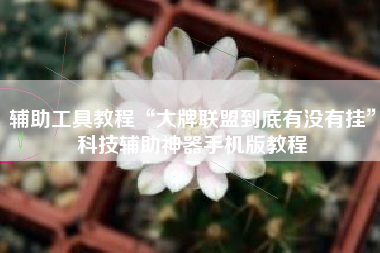 辅助工具教程“大牌联盟到底有没有挂”科技辅助神器手机版教程 辅助工具教程“大牌联盟到底有没有挂”科技辅助神器手机版教程